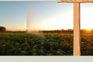 Adolf Schneider Gartengestaltung u. Baumschule