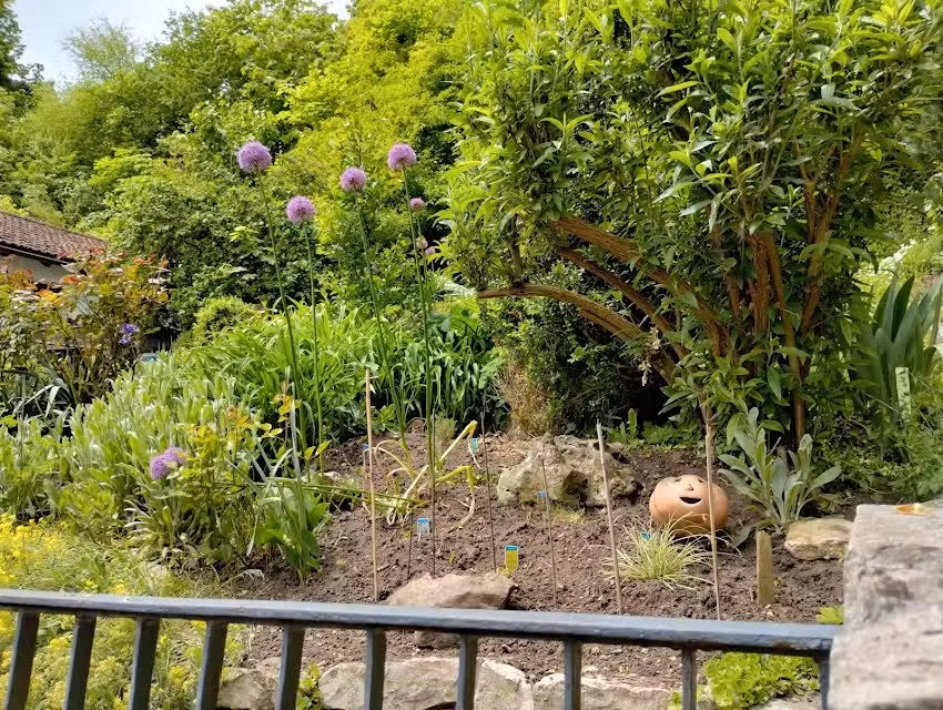 &Auml;nderungsscheiderei