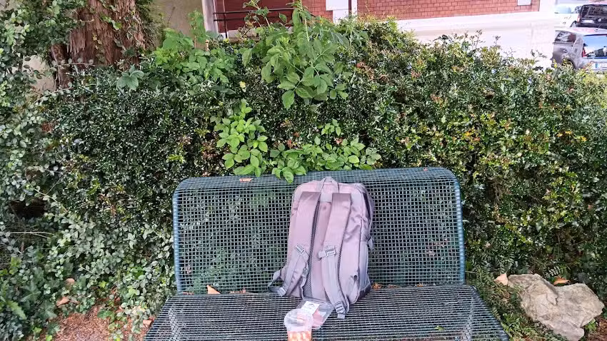 &Auml;nderungsschneiderei Kr&auml;mer