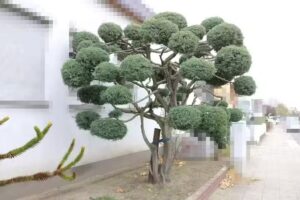 &Auml;nderungsschneiderei N&auml;hbar