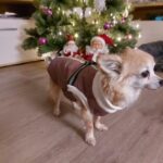 Anna&rsquo;s &Auml;nderungsschneiderei