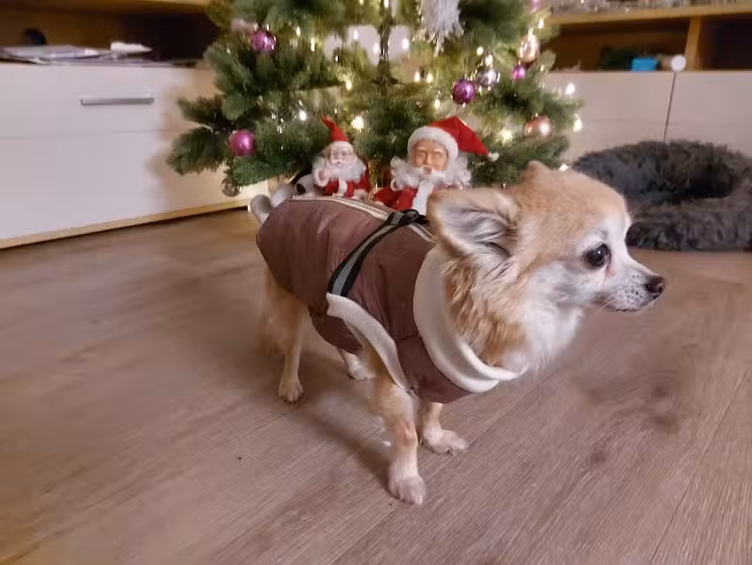 Anna&rsquo;s &Auml;nderungsschneiderei