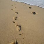 Bestattungshaus Thorsten Schneider e.K.