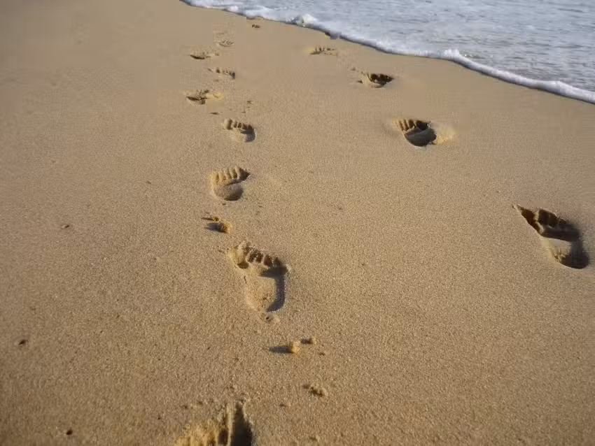 Bestattungshaus Thorsten Schneider e.K.