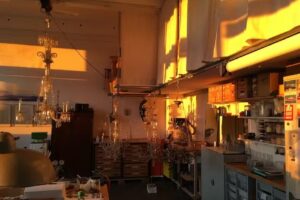 Bettina K. Schneider