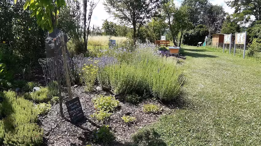 Bienenerlebnisfeld Schneider