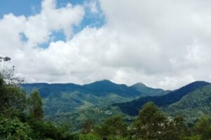 BIO Produkte Schneider GmbH