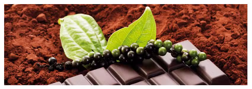 BSA Schneider Industrie & Vertriebs GmbH