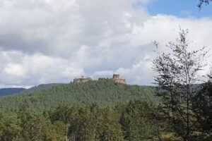 Burgunderhof Schneider