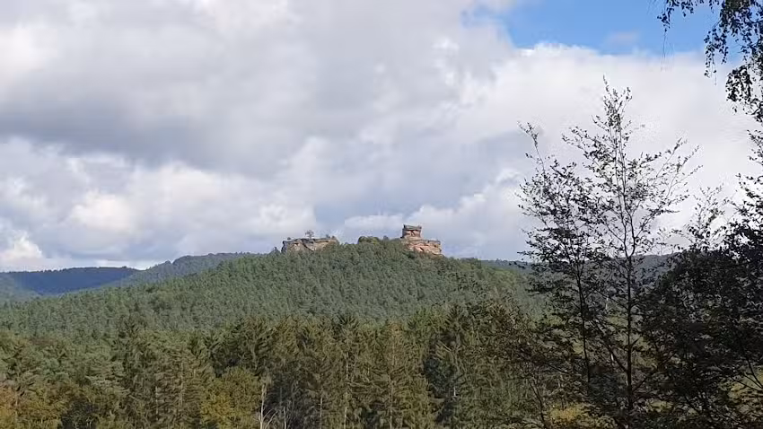 Burgunderhof Schneider