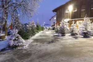 Christbäume Familie Schneider