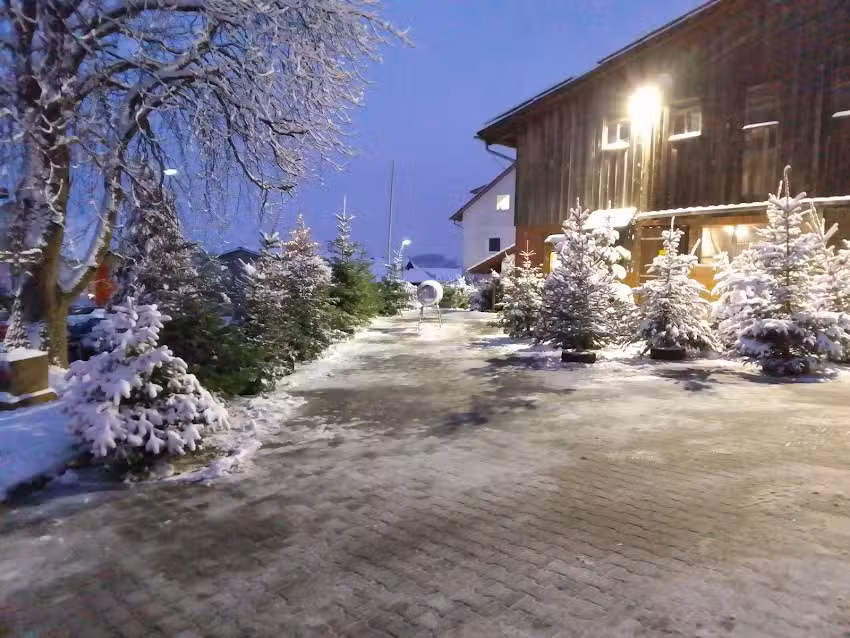 Christb&auml;ume Familie Schneider