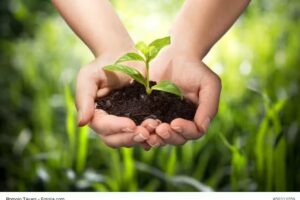 Die Helfende Hand GmbH & Co.KG