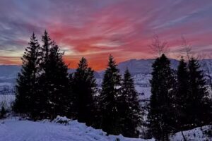 Dr. med. Thomas Illig, Dr. med. Thilo Schneider, Herr Martin Beuckmann