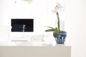 Dr. Schneider Zahnmedizin