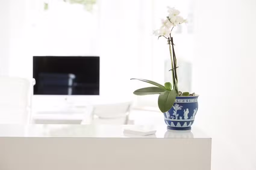 Dr. Schneider Zahnmedizin