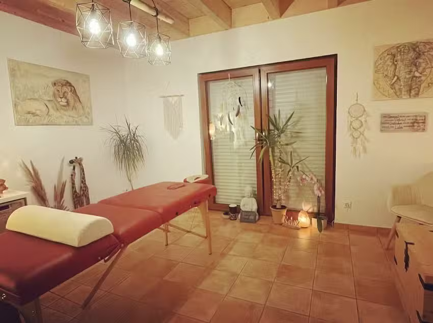 Energiearbeit Corinna Schneider