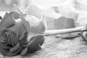 Erik Schneider Bestattungen & Schreinerei