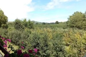 Evelyn und Ewald Schneider