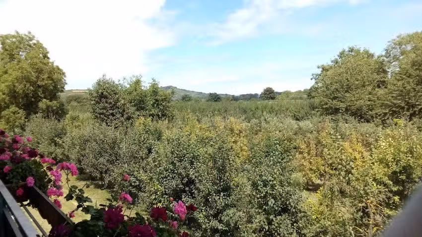 Evelyn und Ewald Schneider