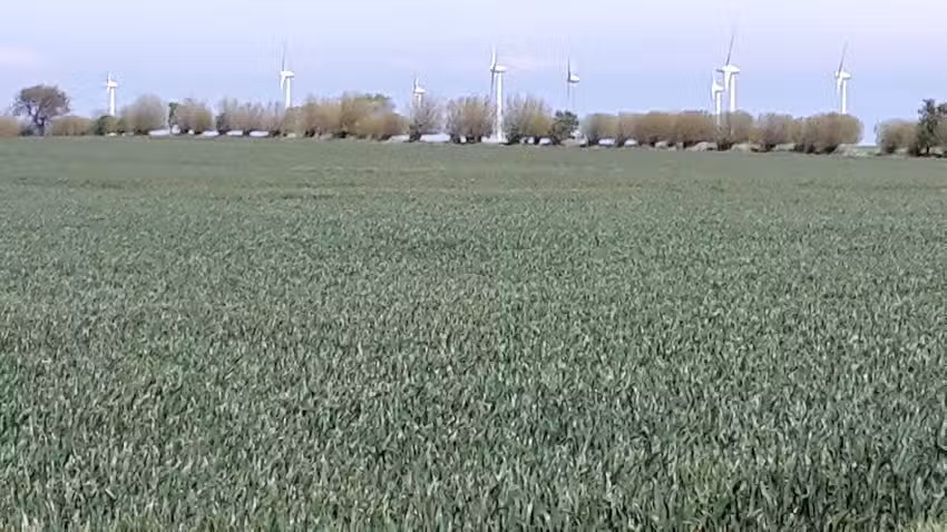 Ferienhaus Schneider