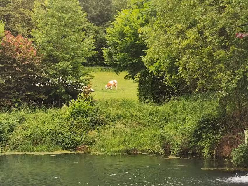 ForellenBauer &ndash; Erhard und Elvira Schneider GbR
