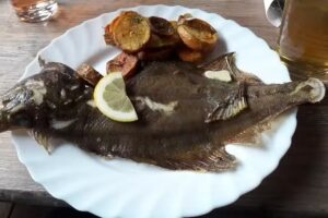 Forellenzucht Schneider