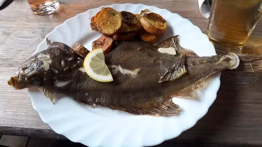 Forellenzucht Schneider