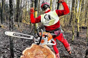 Forstbetrieb Schneider