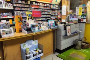 Friederike Schneider