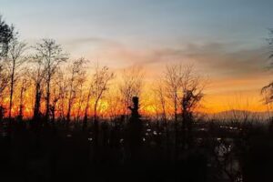 Fu&szlig;pflegepraxis Andrea Schneider