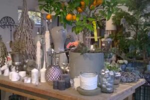 GartenBaumschule Schneider