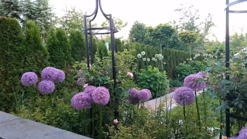 G&auml;rtnerei Schneider GbR