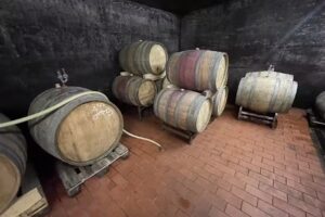 Gästehaus Schneider – Faber