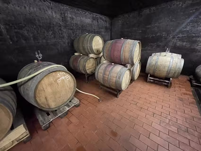 G&auml;stehaus Schneider &ndash; Faber