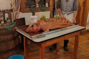 Gasthaus Zum Storch Familie Schneider Gasthaus