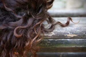 Haarschneiderei Freiburg