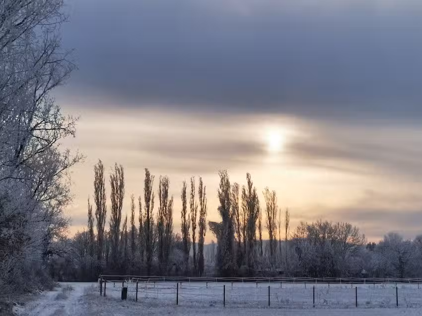 Hans-Peter Schneider