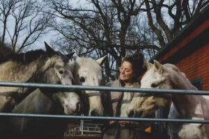 Heilp&auml;dagogisches Reiten Alina Schneider