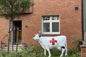 Herr Dr. med. Klaus Schneider