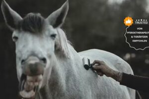 HORSE ZONE Katrin Lottes & Patrick Schneider