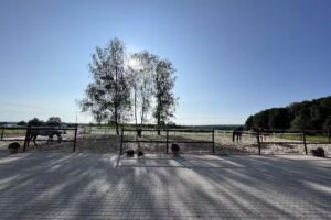 Horseteam Marcel Schneider