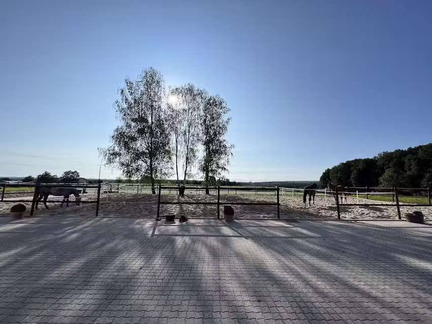 Horseteam Marcel Schneider