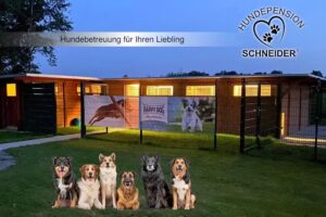 Hundepension Schneider
