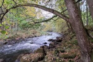 Ilz-Wehr Schneidermühl