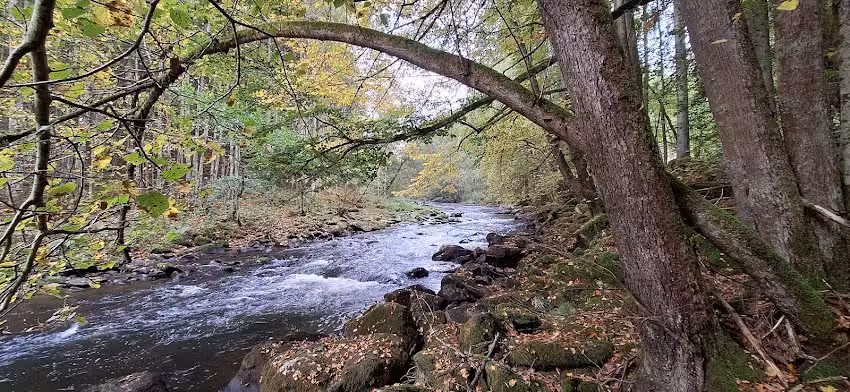 Ilz-Wehr Schneiderm&uuml;hl