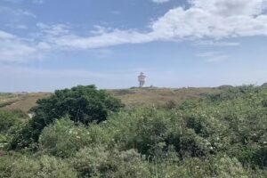 Inselresidenzen Schneider am S&uuml;derd&uuml;nenring*****