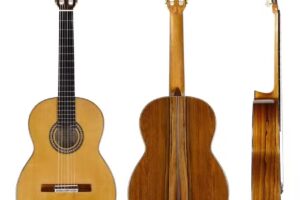 Joachim Schneider & S&ouml;hne