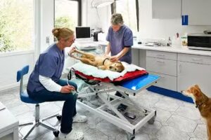 Kleintierpraxis Weller & Schneider