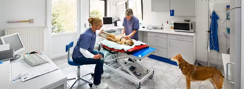 Kleintierpraxis Weller & Schneider